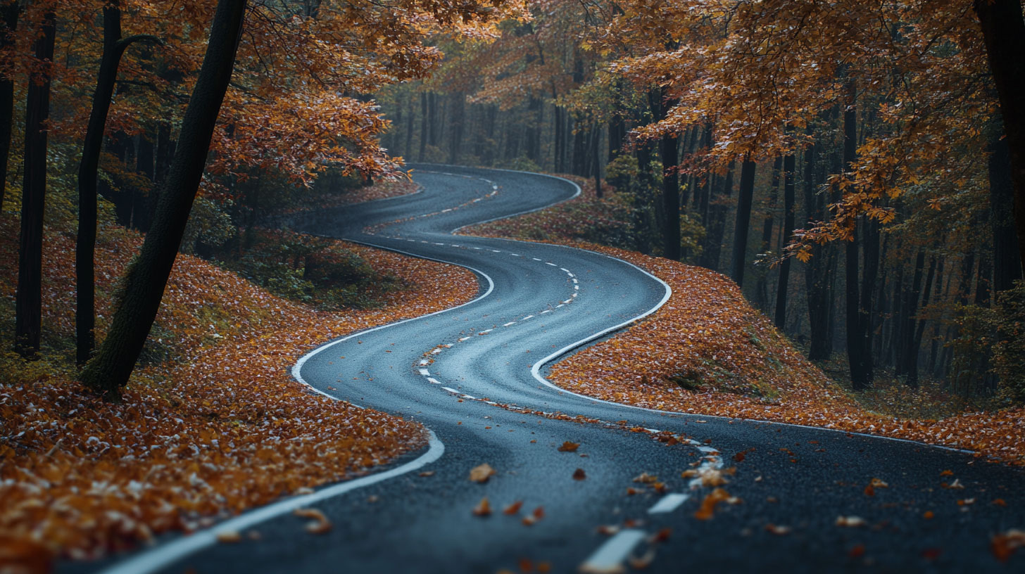 A winding road through an autumnal forest